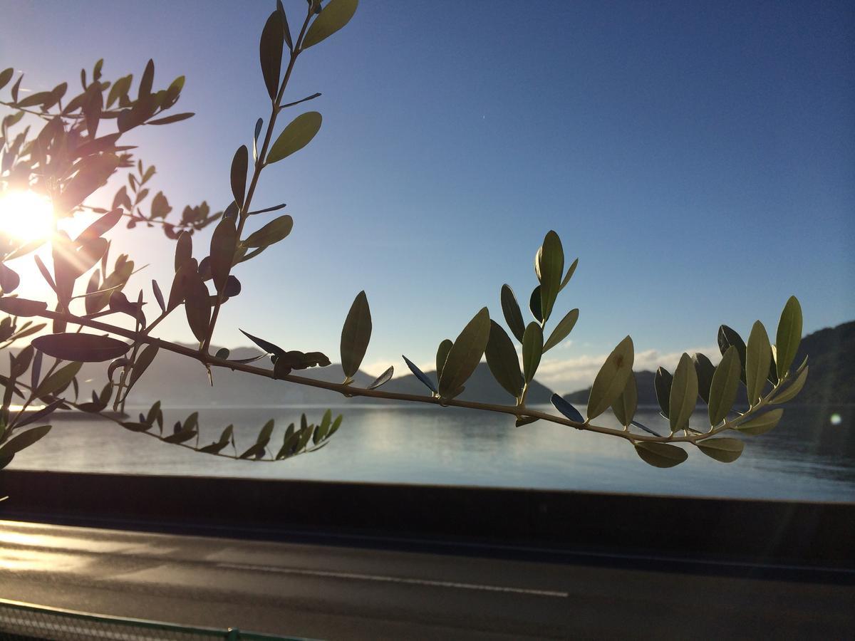Shodoshima Olive Youth Hostel Екстер'єр фото