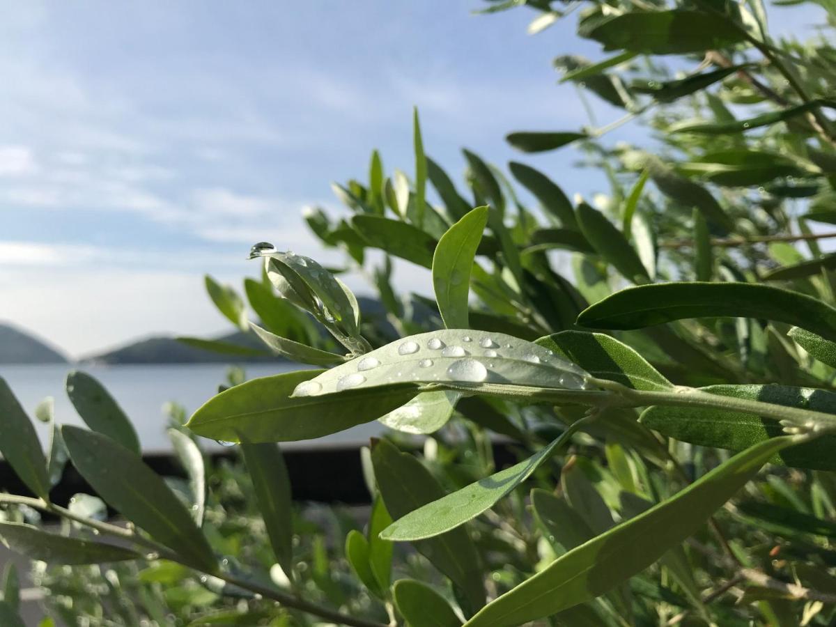 Shodoshima Olive Youth Hostel Екстер'єр фото